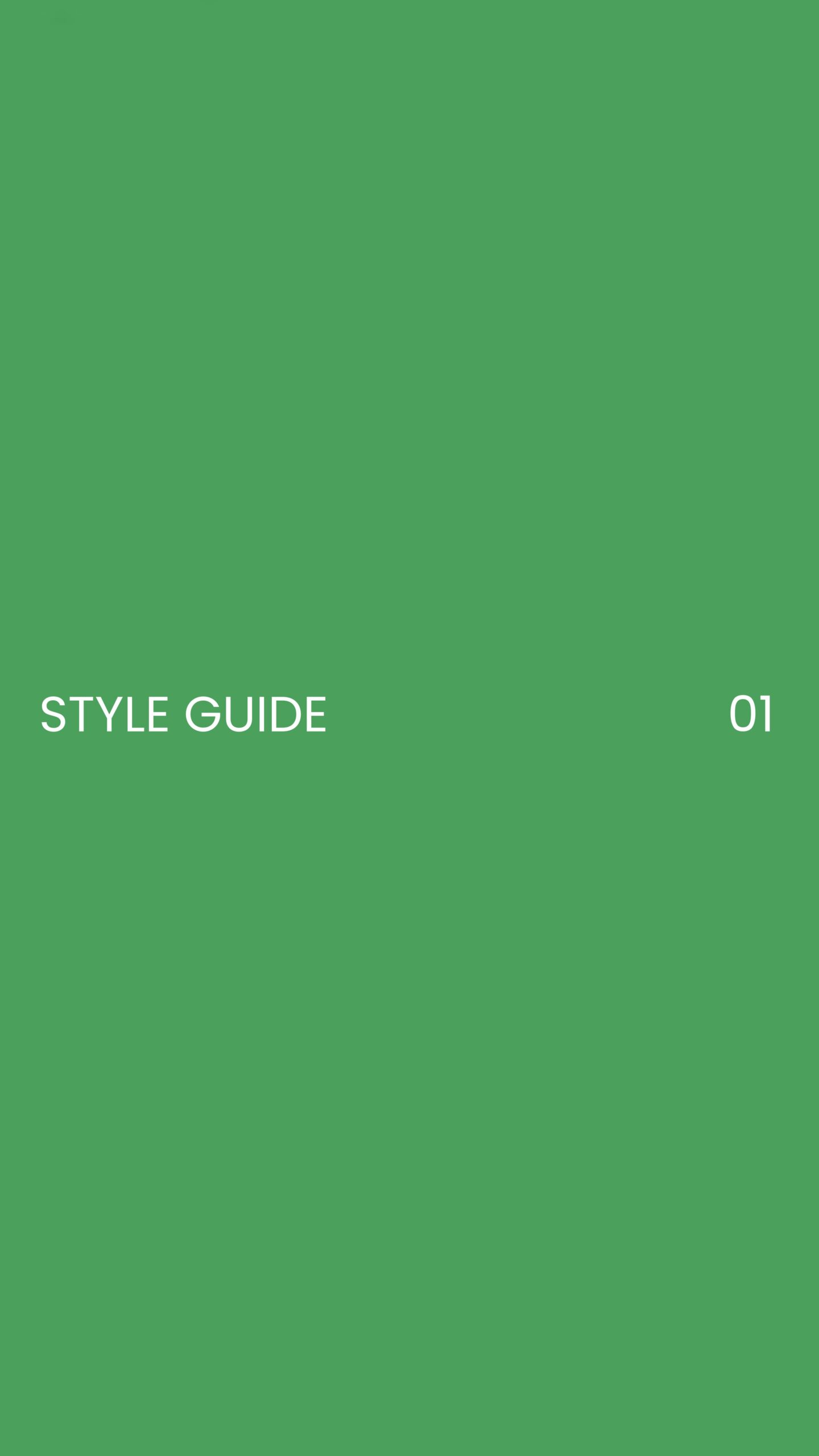 Style guide 01