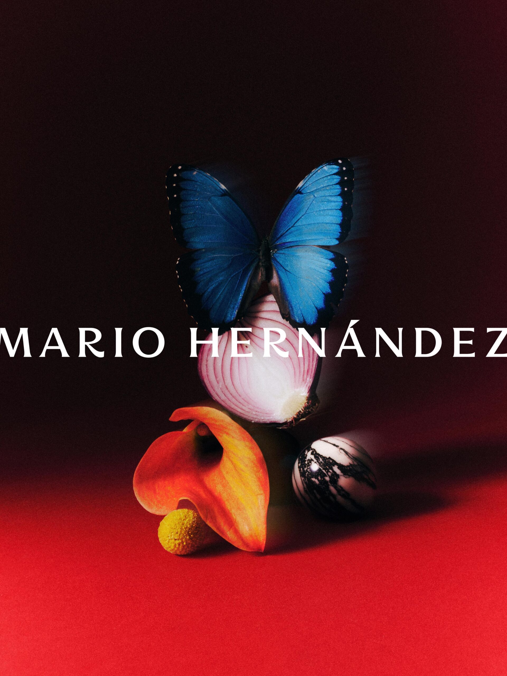 El camino junto a Mario Hernandez es uno que me llena de emoción descubrir. Cada proyecto tiene retos diferentes al anterior, y cada vez junto a su equipo increíble de talentos vamos descubriendo paso a paso como queremos ver esta marca que tanto queremos. Estos son sencillos, pero bien punchy porque en su simplicidad resumen el trabajo, amor y las raíces de todo un legado.