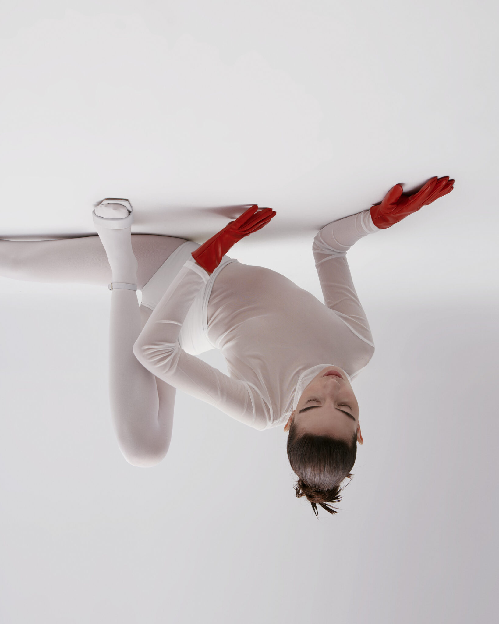 DOMESTIKA - 8-2-220222