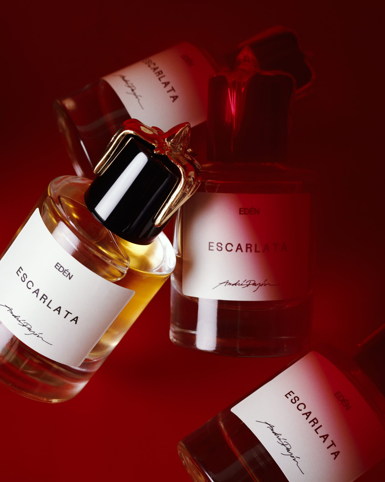 EDEN PAJON52386 copia