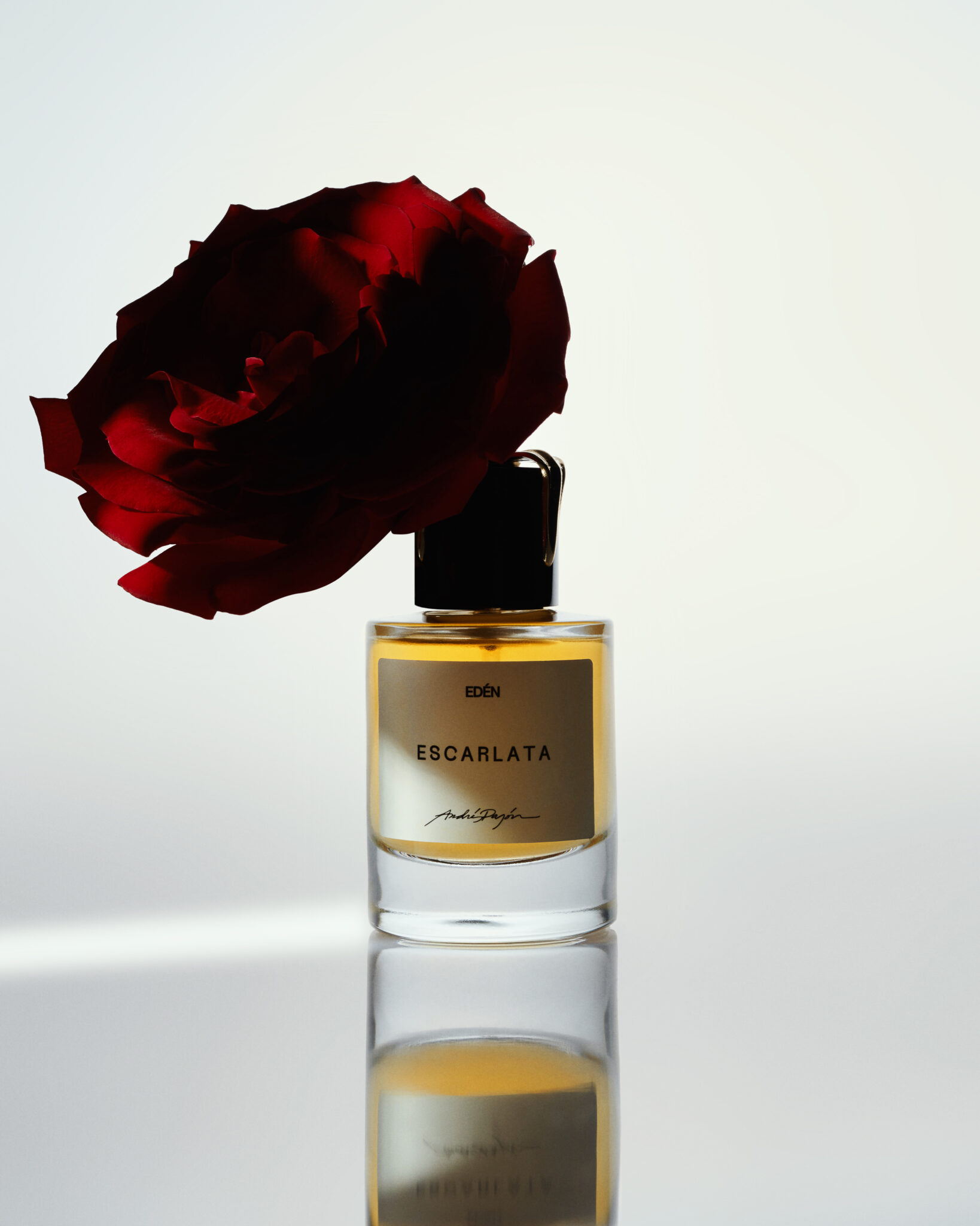 EDEN PAJON52762 copia