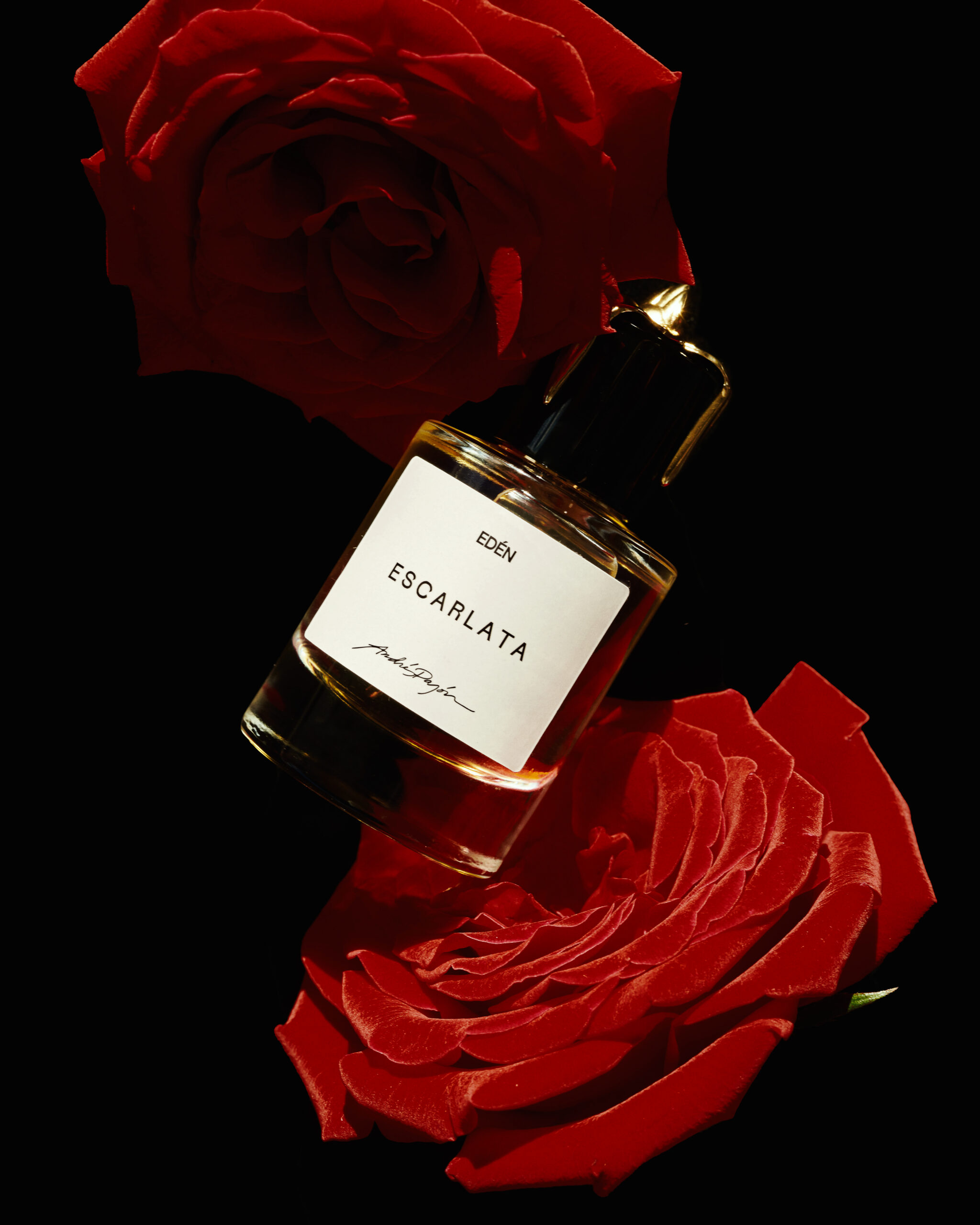 EDEN PAJON52889 copia