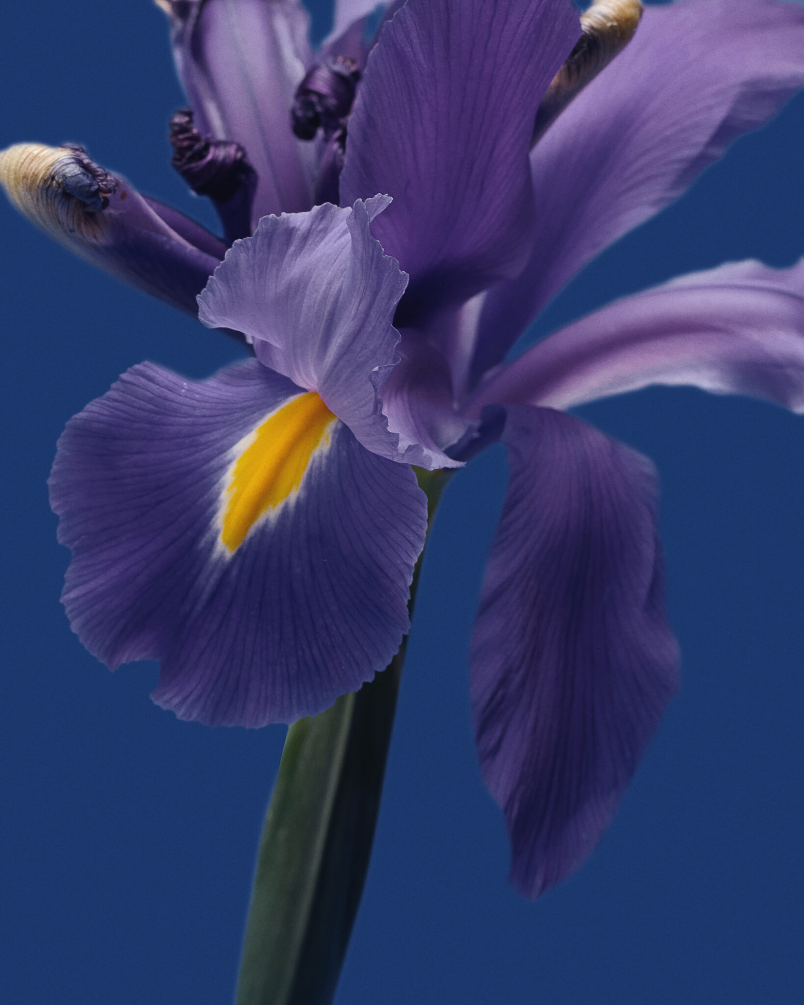 MH PRODUCTO21735 copia