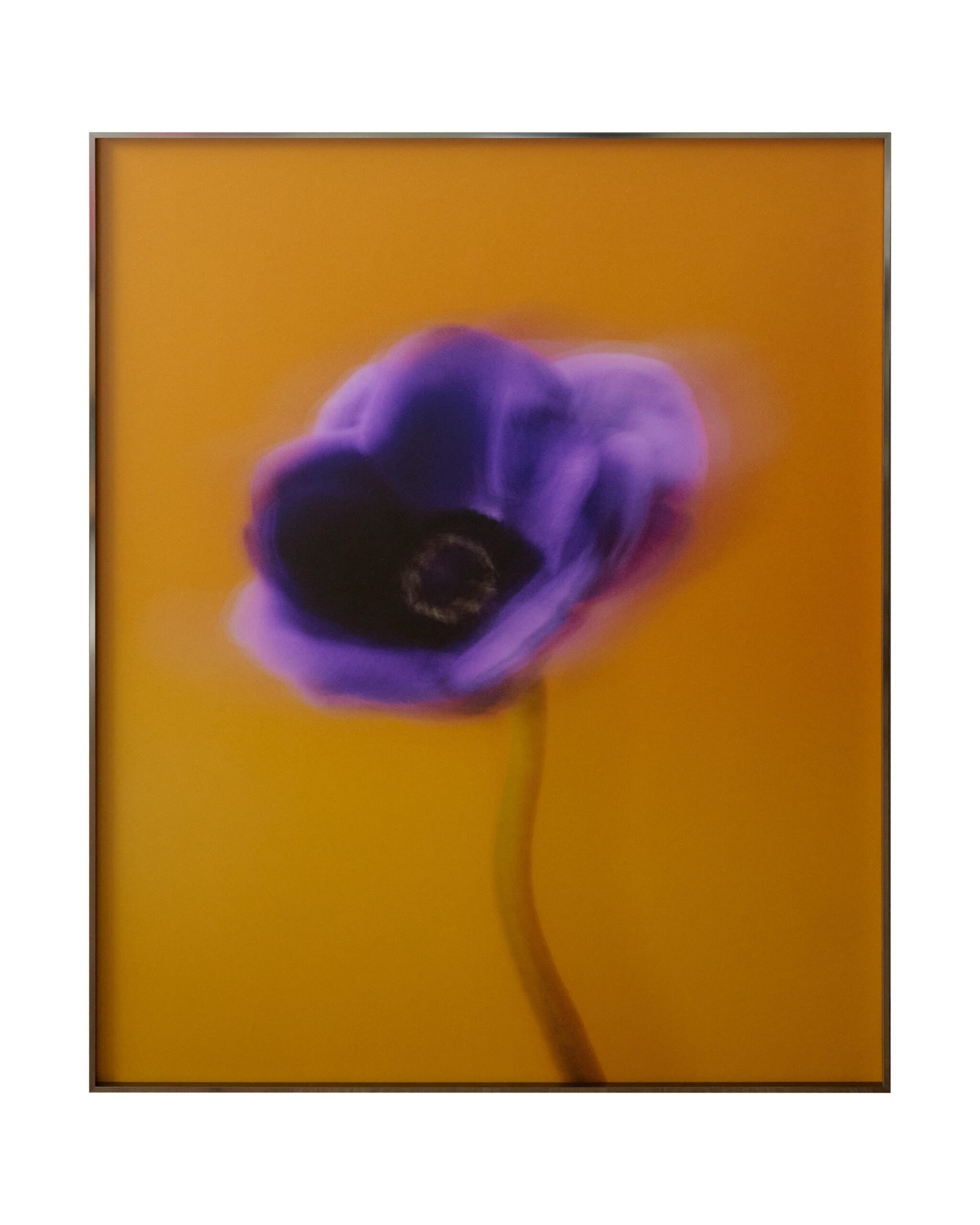 LARGE-SCALE FRAMED STILL LIFE